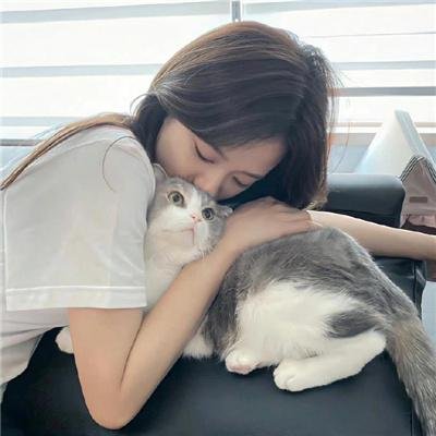 烈火战车第二季